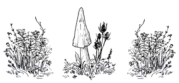 Go Slow to Go Fast: Trans Health Torah